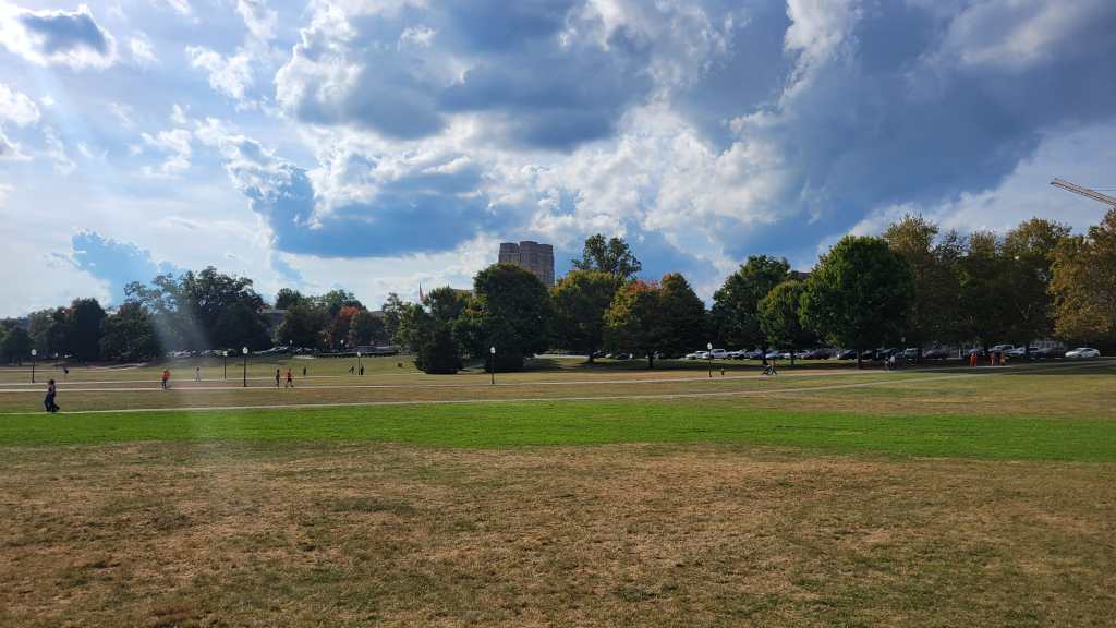 A scenic view of a grassy park with scattered trees, people walking, and a cloudy sky in the background.